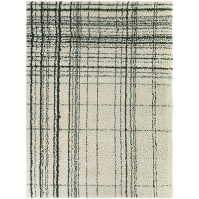 Circe Green Modern Abstract Plaid Area Rug