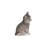Head-Tilting Tabby Kitten Sitting-50844502