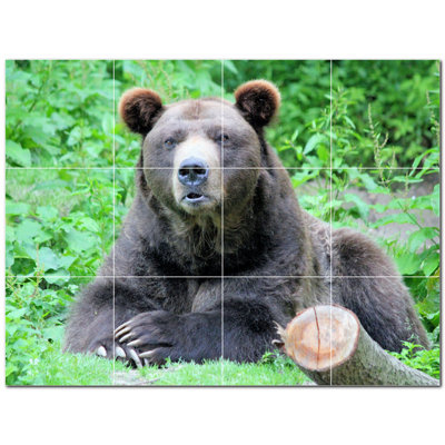 Murale en céramique satinée Bear Photo 6 po x 6 po