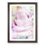 A Sole Pink Rose in Abstract - Framed Print-55629015-55629018