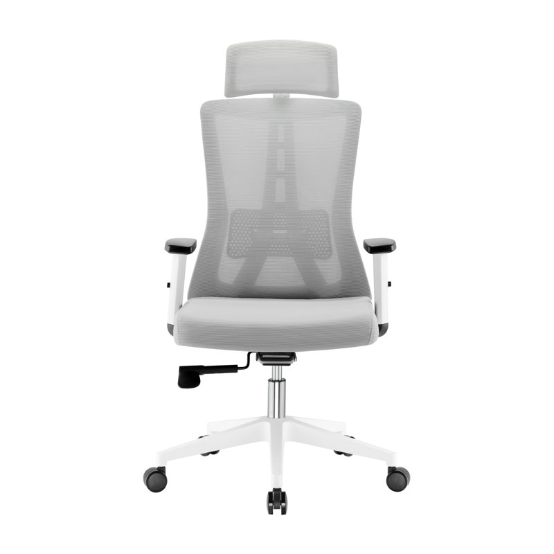 Ashton Plus Office Chair, Gray