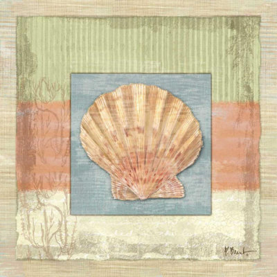 Reproduction d'art sur toile tendue à la plage par Paul Brent Beachcrest Home ™, Montego Scallop