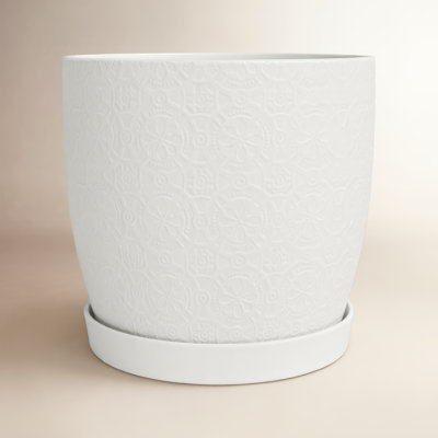 Ceramic Pot Planter