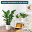 FLHPOT Ceramic Pot Planter-1957853583