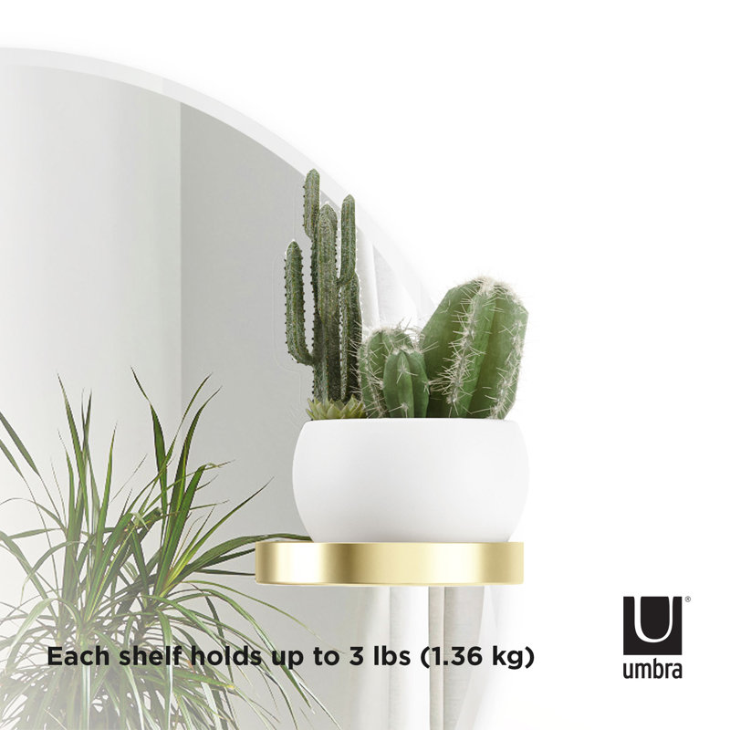Frameless Round Wall Mirror with Brass Shelves