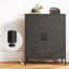 80Cm 2-Door Storage Cabinet & Metal Sideboard-434419474