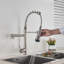 Belfry Kitchen Allicia Pull Down Kitchen Faucet