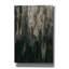 «Tim Moss Titan» par Svetlana Aleynikova, art mural sur toile-1138630203