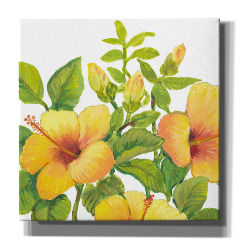 «Watercolor Hibiscus I» par Tim O'toole, art mural sur toile, H 12 po x l 12 po x P 0,75 po