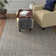 Tapis intérieur / extérieur Burnell Linden 100