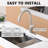 Boyel Living Pull Down Spray Kitchen Faucet-94335219