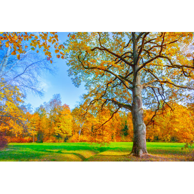 " Autumn Landscape " by Adisa