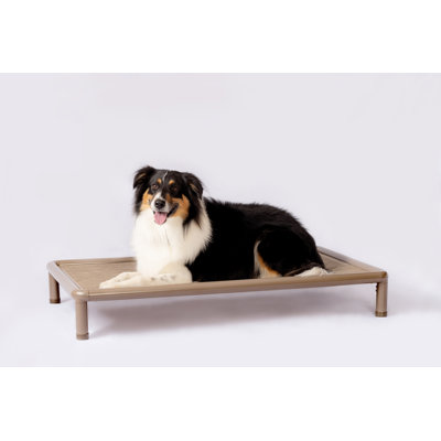Cooling Elevated Dog Bed