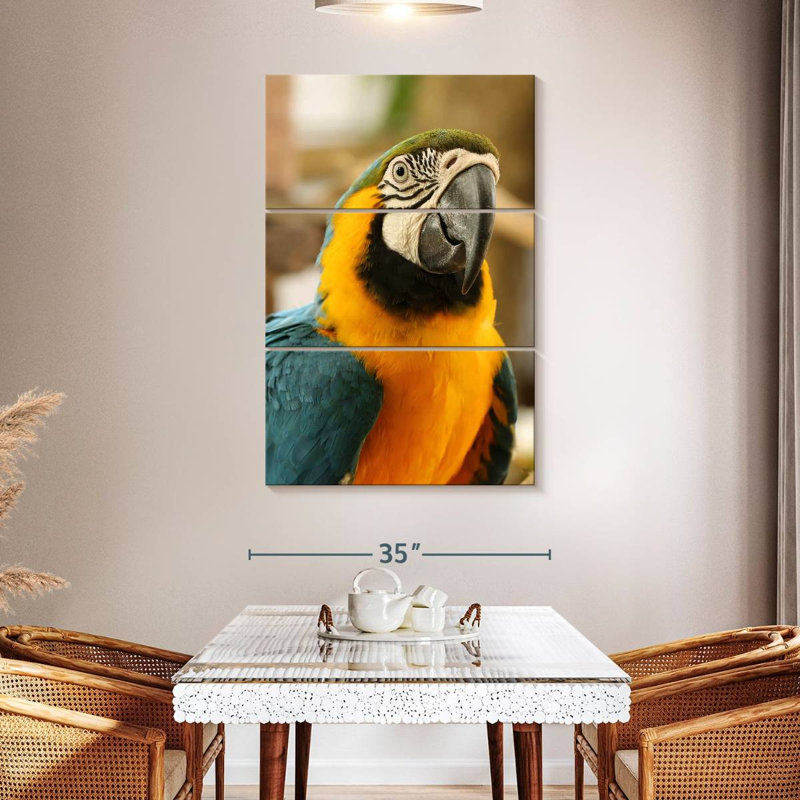 Brampt Exotic Macaw, 50" H x 32" W