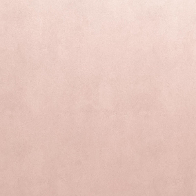 Lit de jour simple rembourré avec couchette, Rose