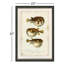 Puffer Fish Print