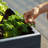 Janay Large Wood Raised Garden Bed-648978034