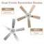Eustolio 52'' DIY Shade Chrome Modern Ceiling Fan with Light and Remote, Reversible DC Motor Dimmable Fandelier-487085836