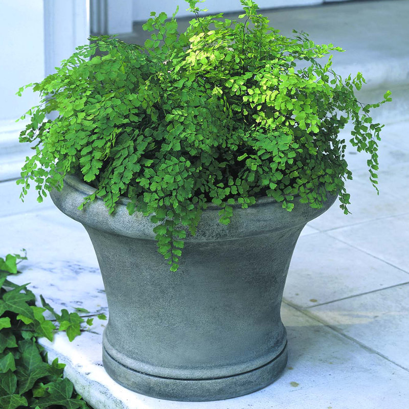 Westport Planter, Graystone