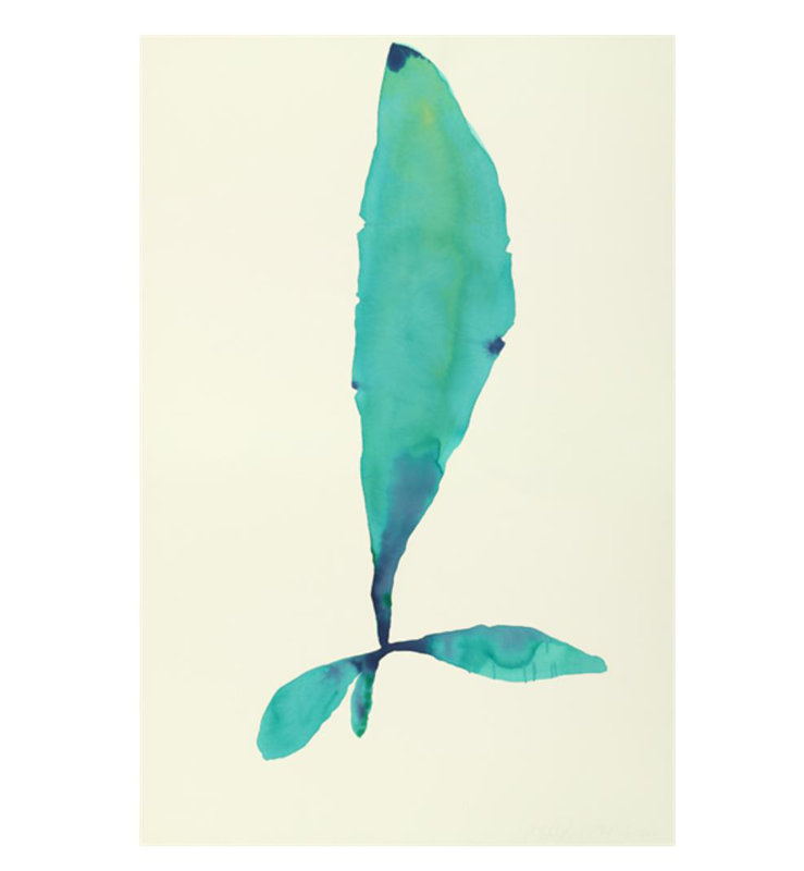 Plants IV par Hable Construction - impression, H 60 po x l 40 po, Plexi