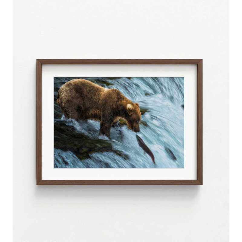 Reproduction d'ours et de saumon: art colonial rétro de la faune, H 12 po x l 16 po, Impression encadrée avec passe-partout