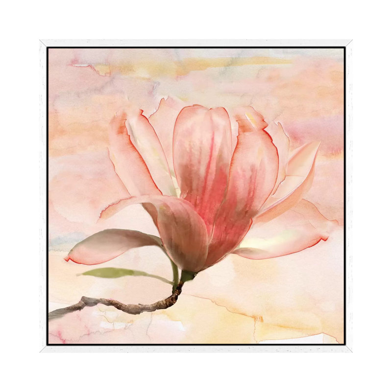 Dreamy Magnolia I 1 Piece Wall Art on Canvas, 66.04 cm H x 66.04 cm W, White Framed