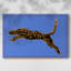 Toile tendue The Wild Leopard I-Gallery-736105493