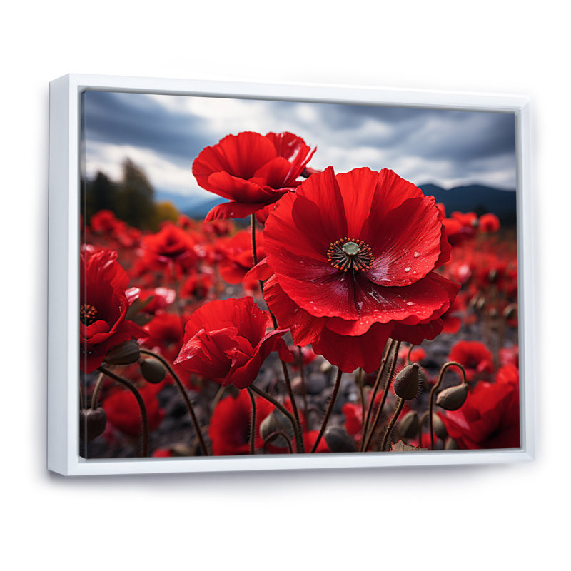 Flower Field Crimson Poppies - Floral Wall Art Prints, 30" H x 40" W, Cadre flottant blanc