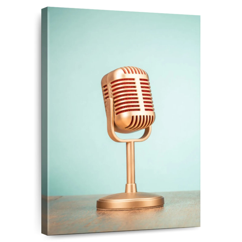 Microphone dynamique Abarca, H 36 po x l 24 po