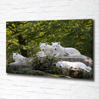 White Wolves Rock - Wrapped Canvas Print
