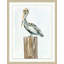 Painted Pelican 2 Print
