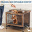 Dog House