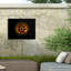 Bolognaise, Brian Carson, fleurs de jardin 69-98043876
