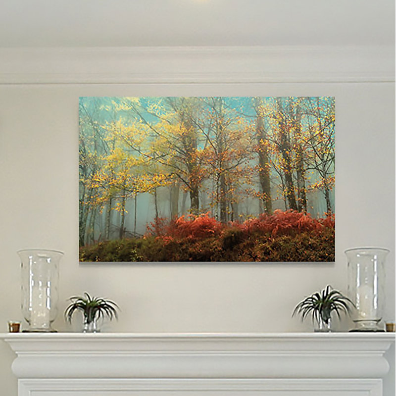 «Beeches in the Mist», reproduction, H 32 po x l 48 po x P 1,5 po, Toile tendue