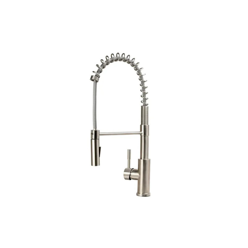 Allora USA Kitchen Faucet Side Spray, Brushed Nickel