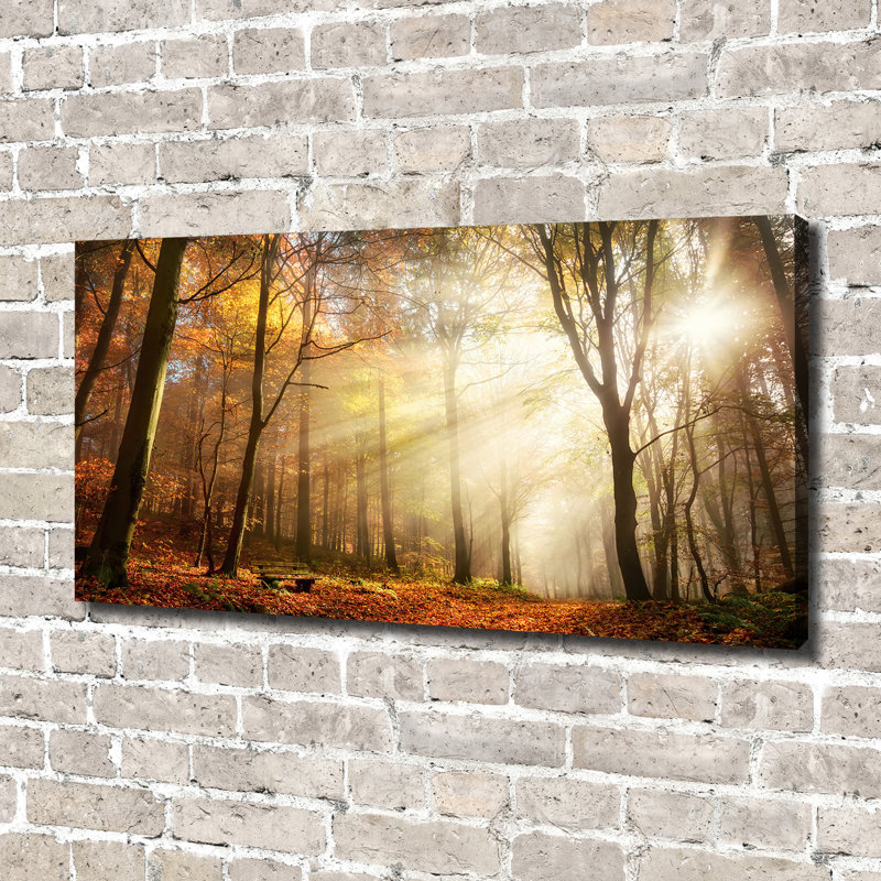 Fog In The Forest - Print, Canvas, 70cm H x 140cm W x 2cm D