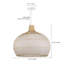 Luminaire suspendu en forme de dôme blanc à 1 lumière Aribella-218469455