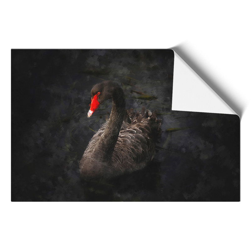 Black Swan - No Frame Painting, 42cm H x 59cm W x 0.1cm D
