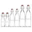 Ensemble de 6 bouteilles carrées à pince carrée (deux chacune de 9 oz, 16 oz, 34 oz)