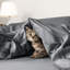 Ensemble de housse de couette -1584324011-1584324002