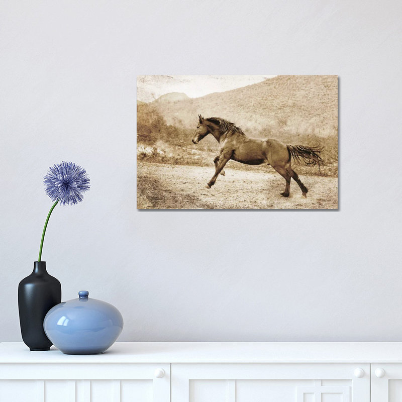 A Run Up The Hill by Rhonda Thompson - Wrapped Canvas Print, 66.04 cm H x 45.72 cm W x 1.91 cm D