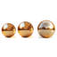 Barbaros Stainless Steel Gazing Ball-1548841512