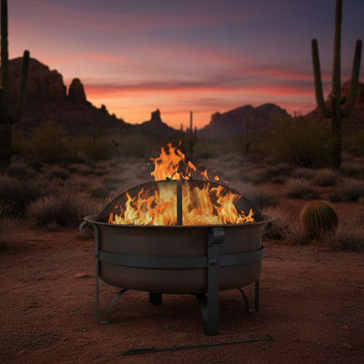 Banesa 29" Round Wood-Burning Bronze Finish Steel Fire Pit Bowl with Spark Screen and Poker