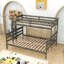 Lit superposé standard Jaquaveon par Harriet Bee-1092092028-1092092027