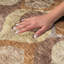 Tapis Dream Shag ADS749 de style moderne du milieu du siècle, lavable à la machine de qualité supérieure-1540489007-1540489183
