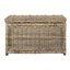 Coffre de rangement en osier 30,7 po Elijah-24551566