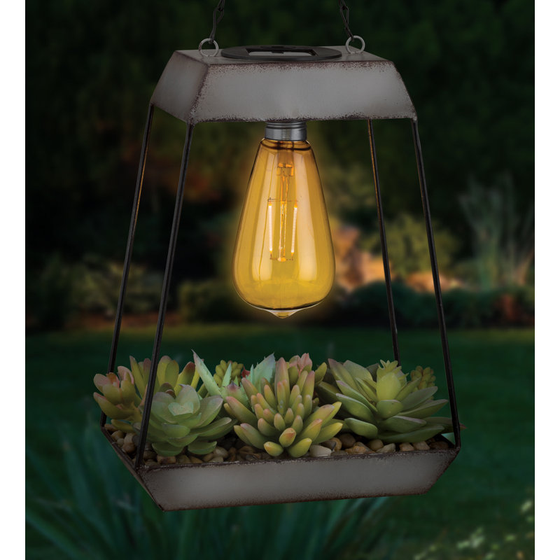 Lanterne solaire Edison Succulent - Pyramid