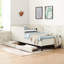Lit simple en velours avec 2 tiroirs de rangement, plateforme rembourrée beige pour la chambre à coucher, fonction réglable, style moderne, rembourrage confortable, structure en bois d'eucalyptus, expérience d'assise, et