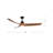 Baylor 60'' Ceiling Fan with LED Lights-95320054