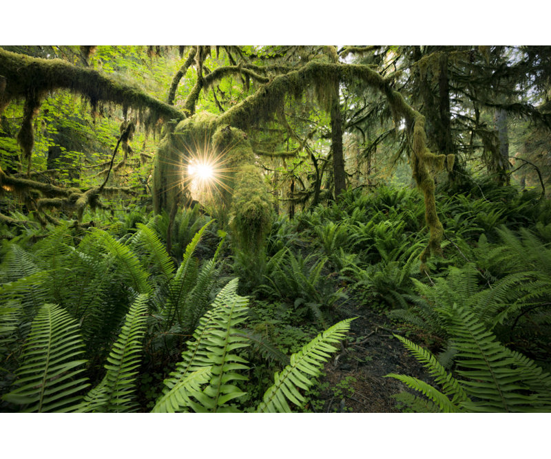 Wrapped Canvas Print, 50.8 cm H x 76.2 cm W